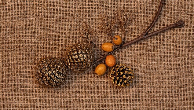 Displaying shiny pinecone spheres and small pinecone resting on burlap, twig with three dried pods