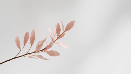 Obraz premium Featuring single slender twig running diagonally in studio, with veined pink leaves, copy space