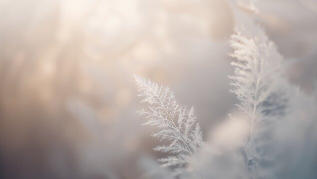 Glistening frost-covered feathery grass seed head glowing in meadow backlight, showing ice crystals - Powered by Adobe