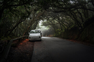 Car Road Trip Through the Misty Anaga Mountains, Tenerife