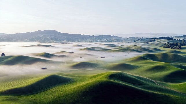 An aerial view of rolling green hills blanketed in mist during a soft sunrise. Small farmhouses and scattered trees are visible in the distance, creating a sere - Powered by Adobe
