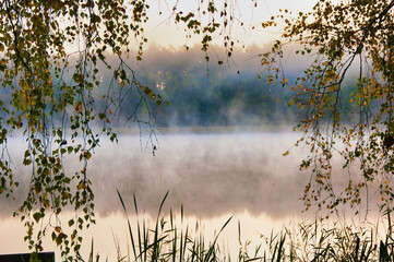Spokojny, jesienny poranek, widok na jezioro z mgłą, zwisającymi gałęziami i spokojną wodą. Drawieński Park Narodowy – Jezioro Głuche Duże. © Pol Badger