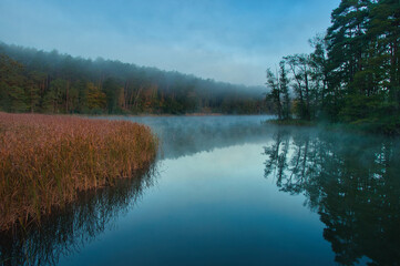 Spokojna poranna mgła nad jeziorem, trzciny i odbicie lasu na tle spokojnej, błękitnej wody. Drawieński Park Narodowy – Jezioro Ostrowite (Ostrowiec).