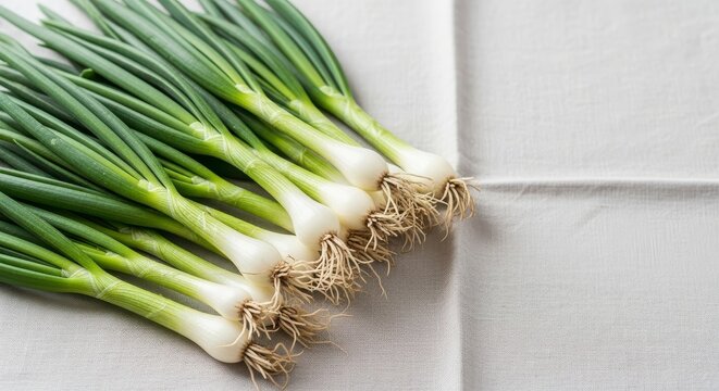 A close up shot of a bunch of fresh green onions with roots on a white tablecloth in natural light - Powered by Adobe