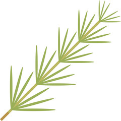 A Close Up Of A Green Plant Stem With Needle Like Leaves In A Stylized Digital Art Pattern On A Transparent Background