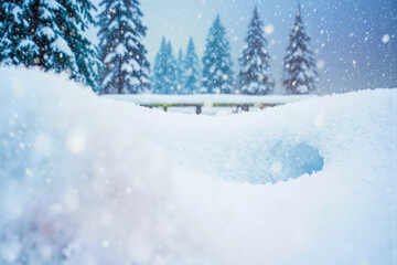 Snowy forest path with snow covered trees and falling snow