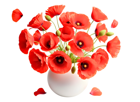 Vase of vibrant red poppies isolated on transparent background