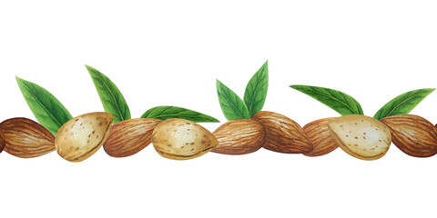 Watercolor seamless almond nut banner. White background. For design, backgrounds
