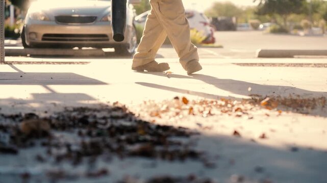 Leaf Blower blowing leaves 1
