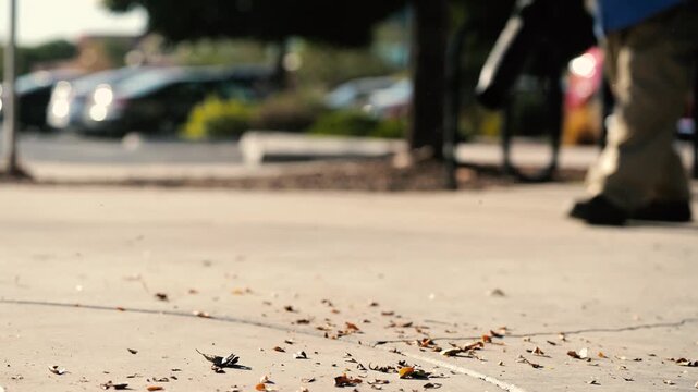 Leaf Blower blowing leaves 2