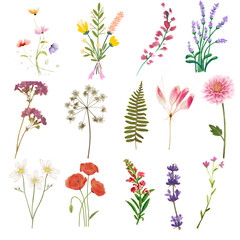 Floral JPEG Set with Beautiful Hand-Drawn Flowers, Soft Botanical Elements, Garden Blooms and Decorative Nature Illustrations for Creative Design