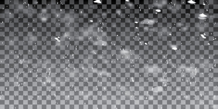 Element for winter design or overlay. Real snow over black background with a shallow depth of field.