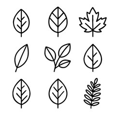 Fototapeta premium Set of nine black leaf icons with minimalist design in various shapes