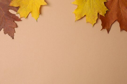 Bright autumn frame with leaves on beige background - Powered by Adobe