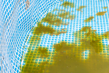 Cleaning of the frame pool, blooming green water. Outdoor pool maintenance in the summer. Sediment at the bottom of the pool.