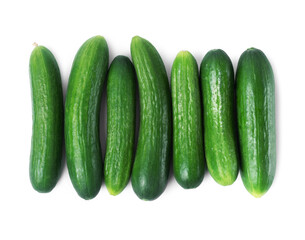 Fresh green cucumbers aligned in a row on white background. Healthy organic produce for food advertising