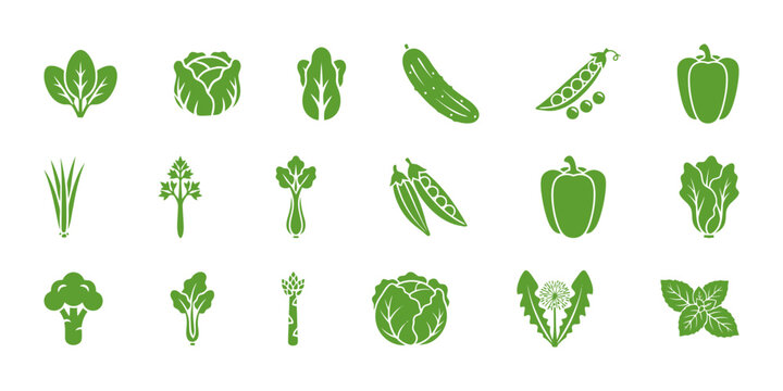 Large set of fifteen flat green vector icons featuring various popular raw vegetables and leafy greens, such as spinach, cabbage, cucumber, peas, peppers, celery, and broccoli.