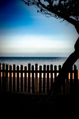 Silhouette of a tree and fence against a tranquil sea and calm sky at sunset, Pineto, Italy