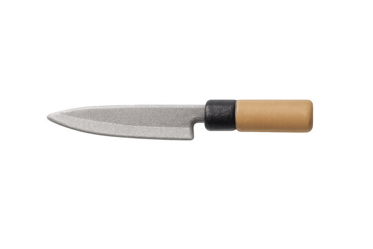 Japanese deba bōchō knife kitchen utensil
