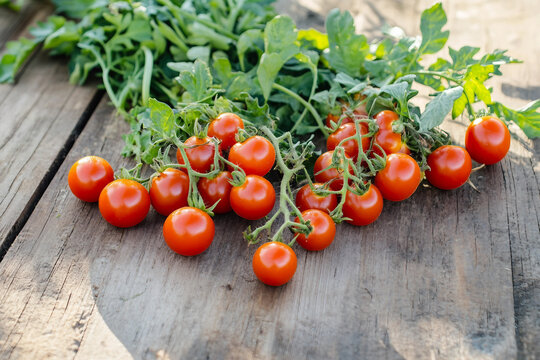 Generative AI photo of fresh green leafy vegetables and white root radishes on wooden table in outdoor garden sunlight - Powered by Adobe
