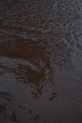 Close-up of muddy rainwater surface with ripples