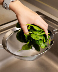washing fresh spinach in a drainer at kitchen sink