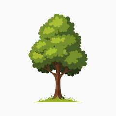 Vibrant Green Leafy Tree Growing Tall in Lush Grass Under a Clear Sky