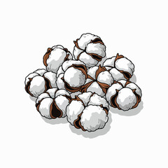 Fluffy White Cotton Bolls with Brown Seed Centers Piled Together Isolated on White Background