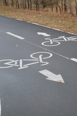 Obraz premium Bicycle Lane Road Markings with Arrows on Asphalt – Urban Cycling Path 