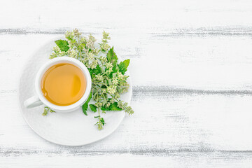 Lemon balm tea on white wooden background. Fresh edible herbs, trendy drink. Organic healthcare