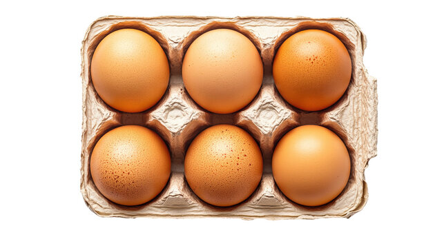 Six brown eggs in carton isolated on a transparent background - Powered by Adobe