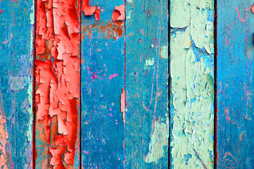 Peeling paint texture, peeling paint of blue and pink color on the old weathered wooden surface