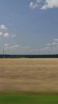sunny sky shadow time summer day road trip wheat field landscape passenger side window pov vertical panorama 4k
