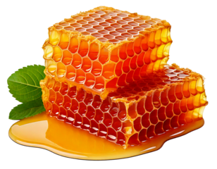 Honeycomb with honey isolated on white background PNG 