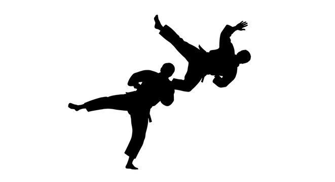 Dynamic Silhouette of Two Martial Artists Engaged in Combat or Training.