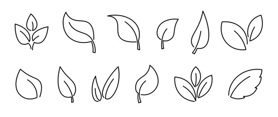 Set of line leaf icons on transparent background. Leaves icon. Leaves of trees and plants. Collection green tea leaf. Elements design for natural, eco bio, vegan labels. Vector hand drawn illustration