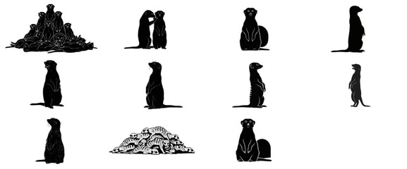 shadow sentinels dynamic meerkat silhouettes embodying alertness and social connection, isolated on transparent background