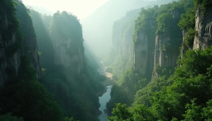 Sunlight streams through misty canyon walls covered in green trees. A river winds through the deep gorge. This peaceful natural scene offers stunning mountain views.