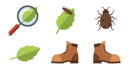 Illustration showing a magnifying glass examining a leaf, a beetle on a leaf, a beetle, a leaf, and a pair of hiking boots.