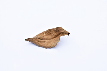 Obraz premium Dry leaves or dead leaves isolated on white background, clipping path material