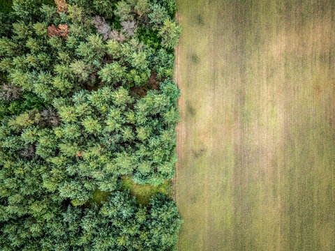 Forest and field near Leipalingis town, Druskininkai Municipality, Alytus County of Lithuania