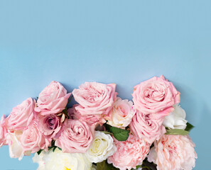 Blooming pink rose flowers bouquet on blue background for Mother's Day