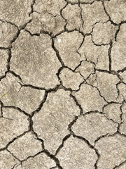Dry and cracked ground due to lack of rain or irrigation