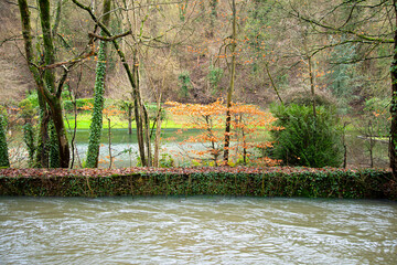 Fototapete bei efototapeten.de bestellen   