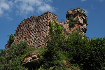 Fototapete bei efototapeten.de bestellen   