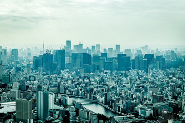 Tokyo Metropolitan Skyline with Dense Urban Buildings in Hazy Light
