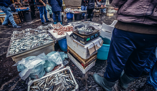 Fishes for sale on Fish stand on La Pescheria historic fish market behind the Cathedal Square in Catania, Siicily, Italy