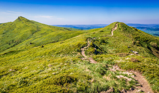 Trail from Halicz mountain in Bieszczady National Park in Bieszczady mountain range in Subcarpathian Voivodeship of Poland