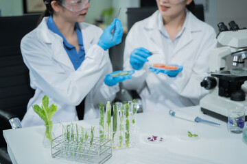 Fototapeta premium Two female scientists conduct plant experiments in a state-of-the-art laboratory, examining fresh vegetables and leaves under a research microscope to develop agricultural biotechnology,food quality
