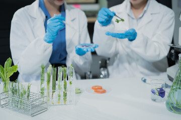 Fototapeta premium Two female scientists conduct plant experiments in a state-of-the-art laboratory, examining fresh vegetables and leaves under a research microscope to develop agricultural biotechnology,food quality